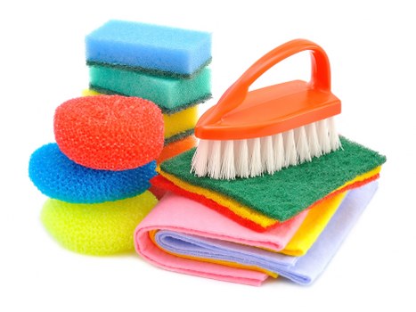 Professional cleaner discussing a carpet cleaning booking