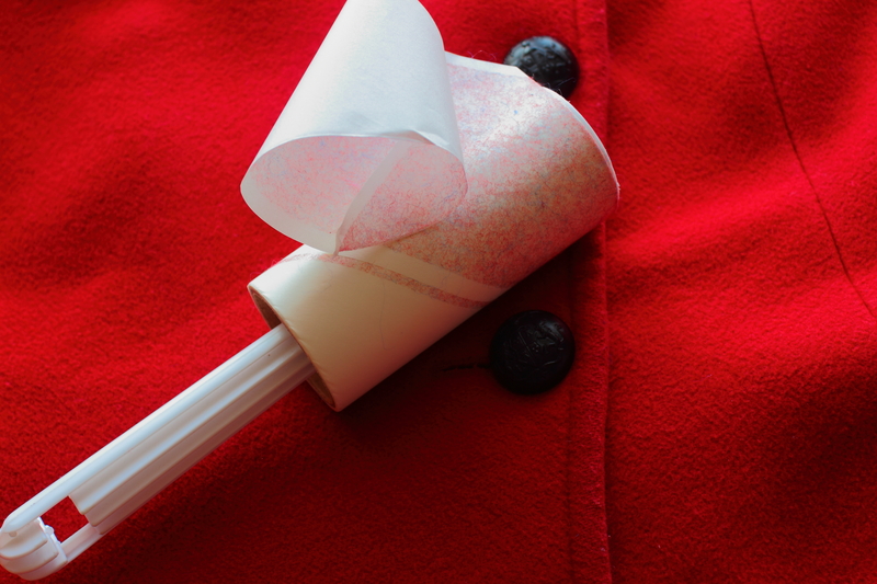 tenancy cleaning carpet cleaning